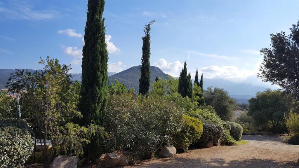 Le Bois De Capra Scorsa Villa Belgodère Kültér fotó