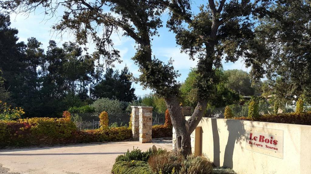 Le Bois De Capra Scorsa Villa Belgodère Kültér fotó